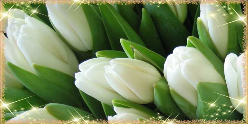 Открытка с именем, Ежоночек, C 8 МАРТА