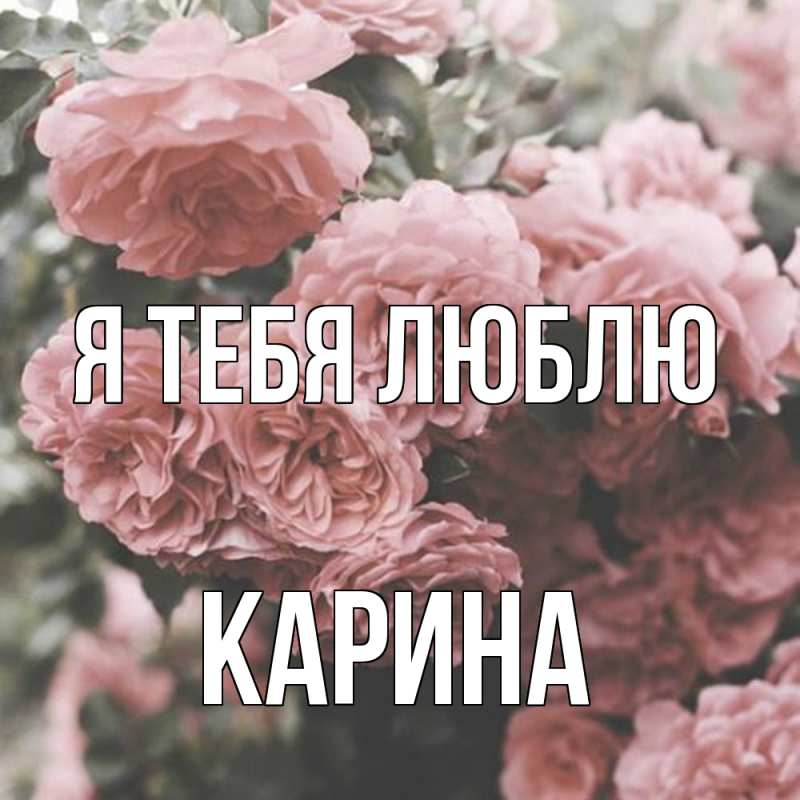 Картинка Я тебя люблю, Карина