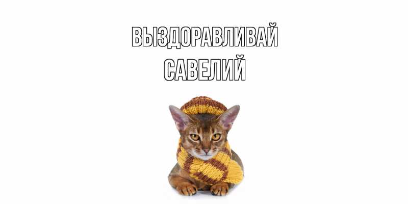 Картинка Выздоравливай, Савелий