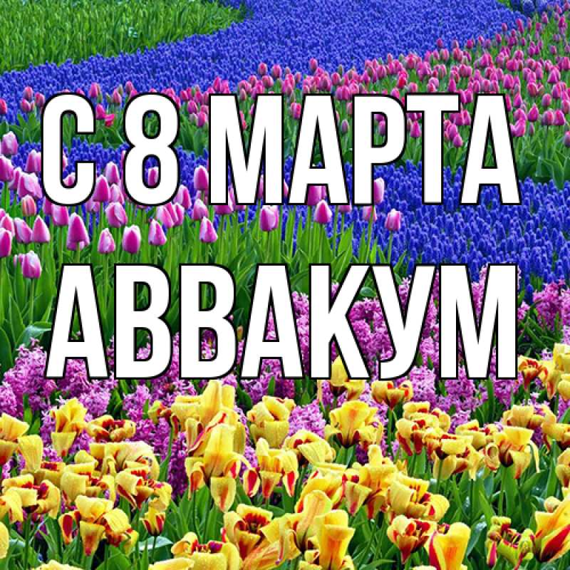 Картинка C 8 МАРТА, Аввакум