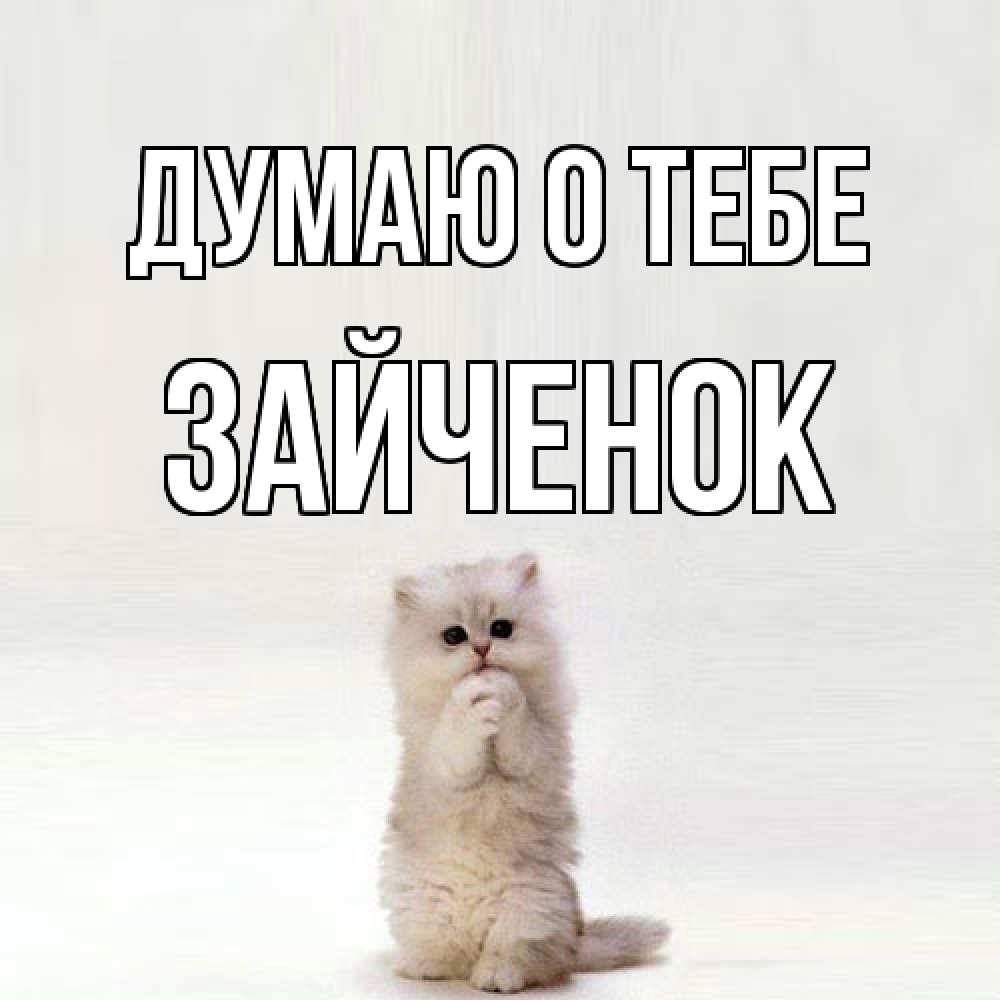 Открытка на каждый день с именем, Зайченок Думаю о тебе кот стоит на задних лапах Прикольная открытка с пожеланием онлайн скачать бесплатно 