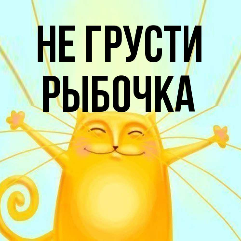 Открытка на каждый день с именем, рыбочка Не грусти обнимашки усатые Прикольная открытка с пожеланием онлайн скачать бесплатно 