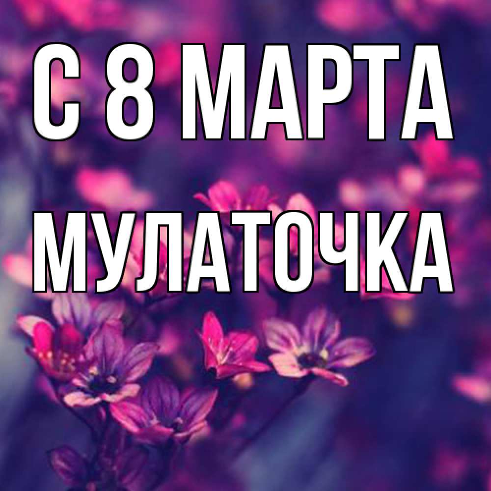 Открытка на каждый день с именем, Мулаточка C 8 МАРТА небольшие цветы 1 Прикольная открытка с пожеланием онлайн скачать бесплатно 