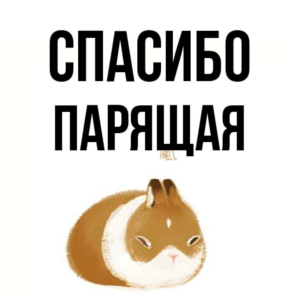 Открытка на каждый день с именем, Парящая Спасибо коричнево белый домашний питомец Прикольная открытка с пожеланием онлайн скачать бесплатно 