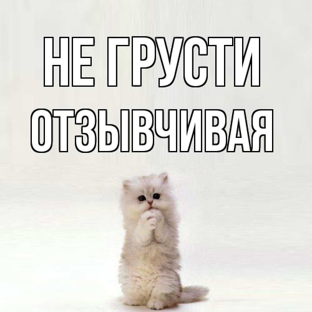 Открытка на каждый день с именем, Отзывчивая Не грусти грустный кот Прикольная открытка с пожеланием онлайн скачать бесплатно 