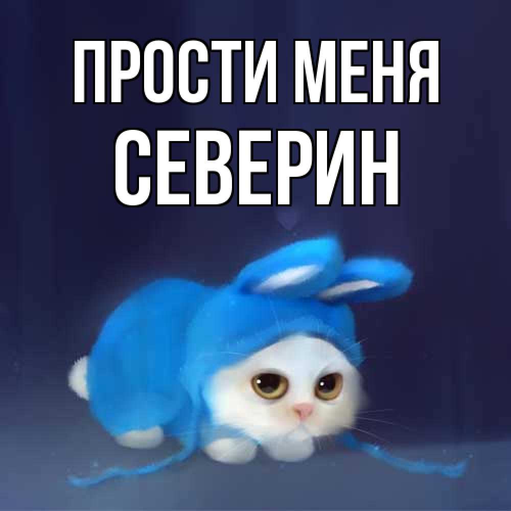 Открытка на каждый день с именем, Северин Прости меня невинный котозай просит прощения Прикольная открытка с пожеланием онлайн скачать бесплатно 