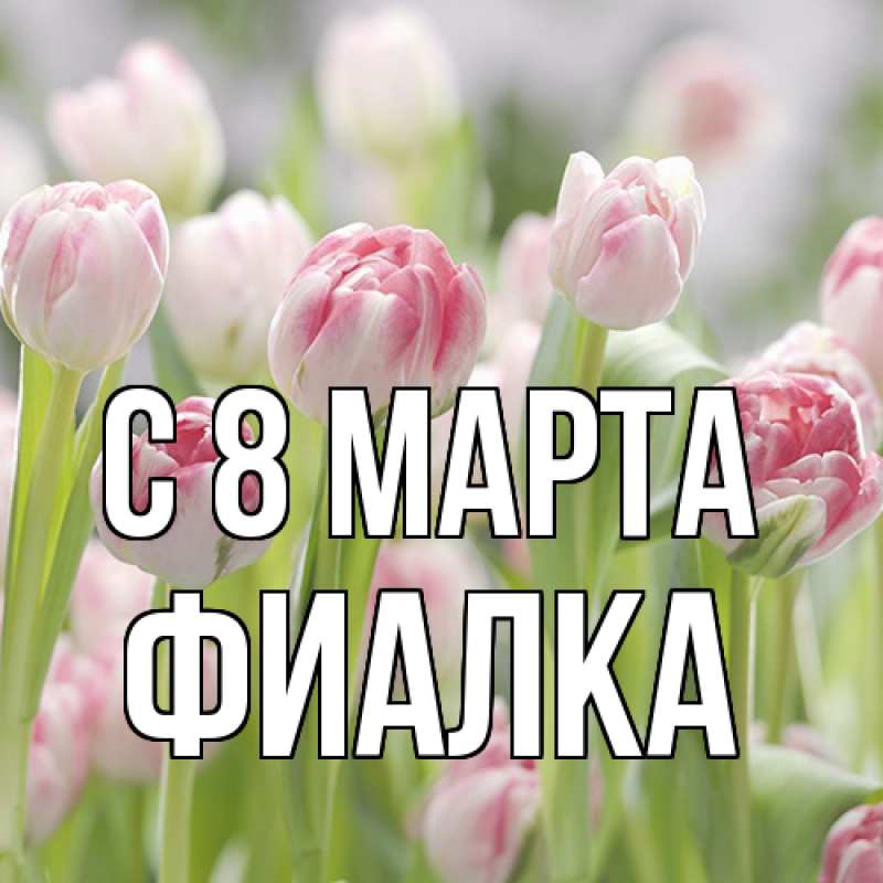 Картинка C 8 МАРТА, Фиалка