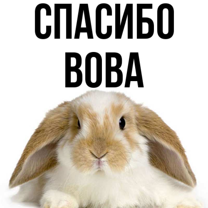 Картинка Спасибо, Вова