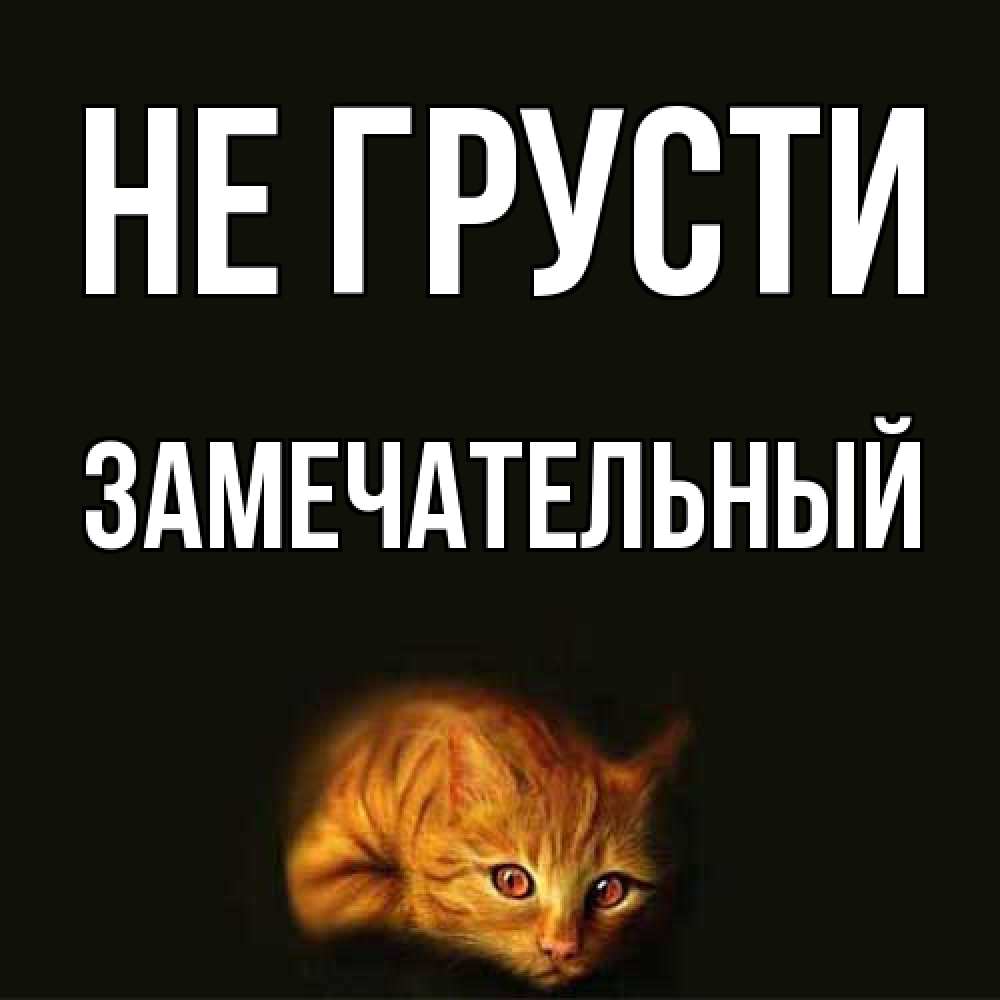 Открытка на каждый день с именем, Замечательный Не грусти лежащий кот в темноте Прикольная открытка с пожеланием онлайн скачать бесплатно 