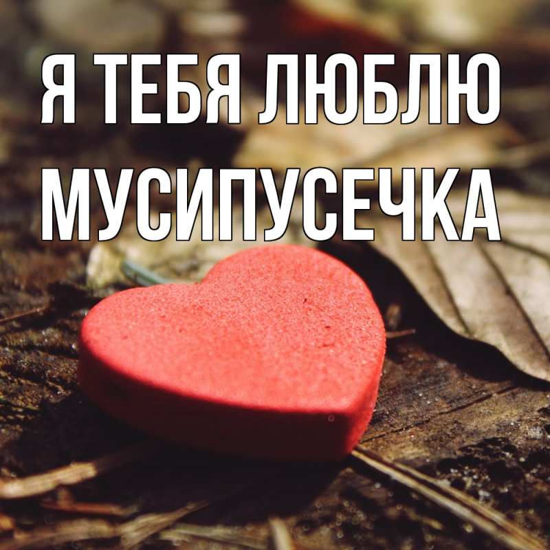 Картинка Я тебя люблю, Мусипусечка
