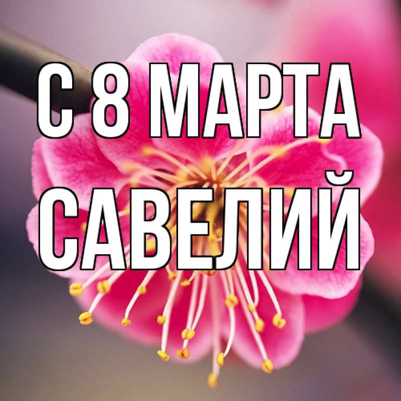 Картинка C 8 МАРТА, Савелий