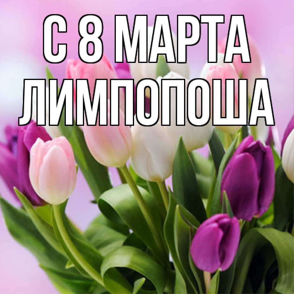 Открытка на каждый день с именем, лимпопоша C 8 МАРТА весна март Прикольная открытка с пожеланием онлайн скачать бесплатно 