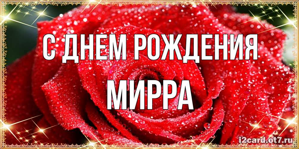 Открытка на каждый день с именем, Мирра С днем рождения роса и роза. открытка с красивой розой Прикольная открытка с пожеланием онлайн скачать бесплатно 