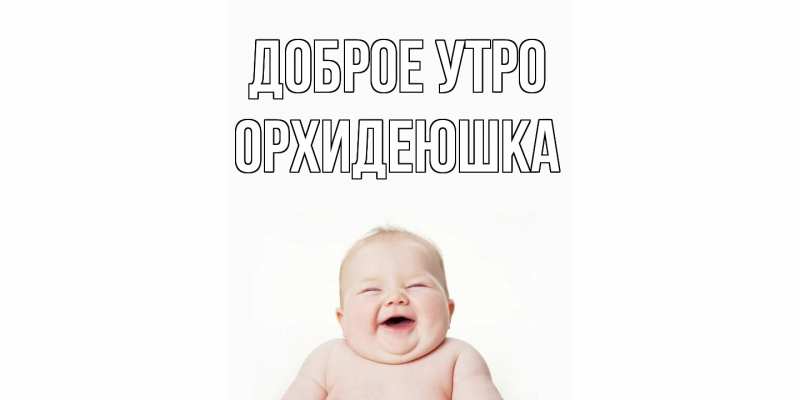 Картинка Доброе утро, Орхидеюшка