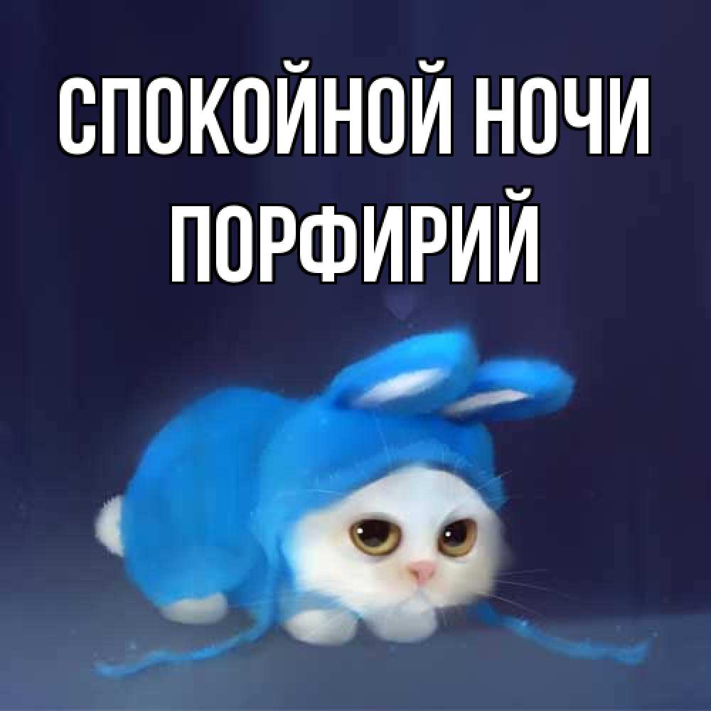 Открытка на каждый день с именем, Порфирий Спокойной ночи кот в голубом костюме кролика с ушками Прикольная открытка с пожеланием онлайн скачать бесплатно 