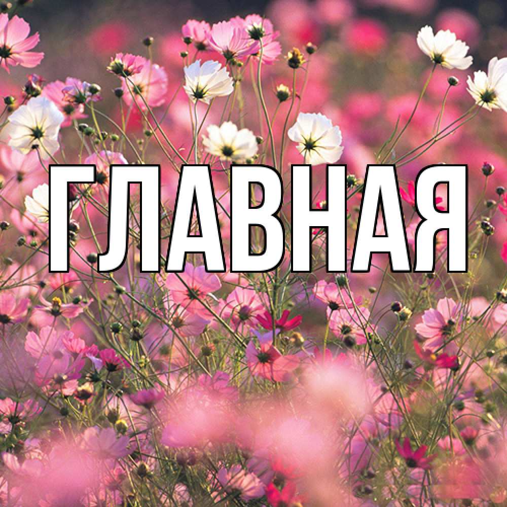 Открытка на каждый день с именем, настя Главная красиво 1 Прикольная открытка с пожеланием онлайн скачать бесплатно 