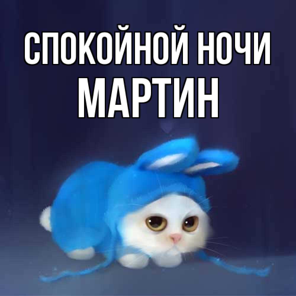 Открытка на каждый день с именем, Мартин Спокойной ночи кот в голубом костюме кролика с ушками Прикольная открытка с пожеланием онлайн скачать бесплатно 