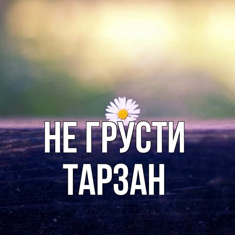 Картинка Не грусти, Тарзан