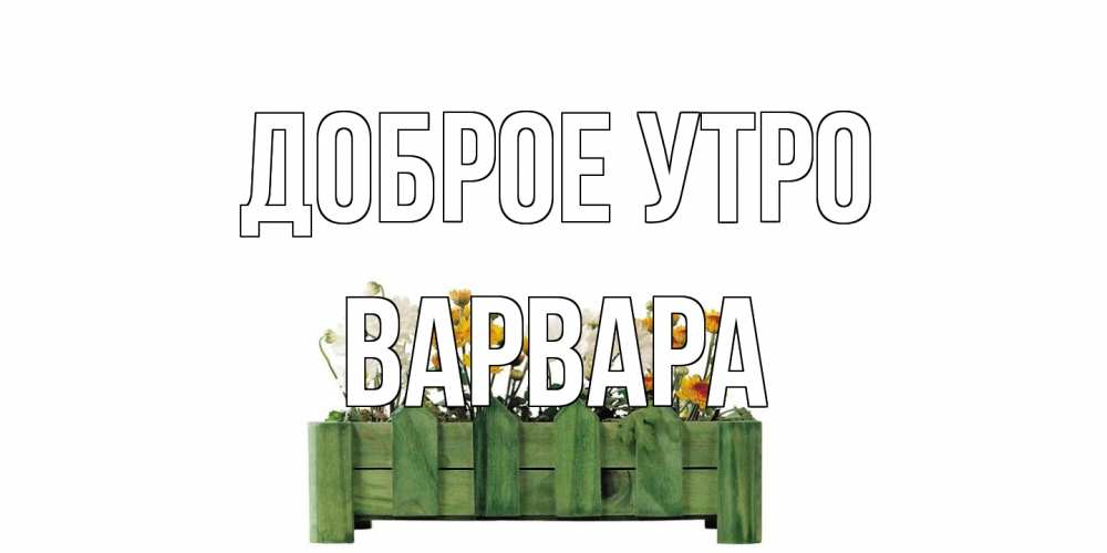 Открытка на каждый день с именем, Варвара Доброе утро цветы Прикольная открытка с пожеланием онлайн скачать бесплатно 