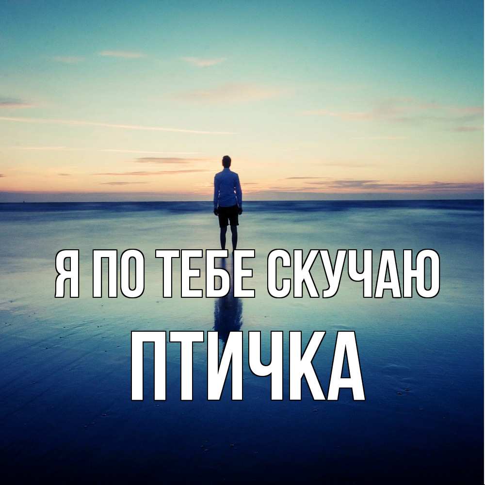 Открытка на каждый день с именем, Птичка Я по тебе скучаю зима Прикольная открытка с пожеланием онлайн скачать бесплатно 