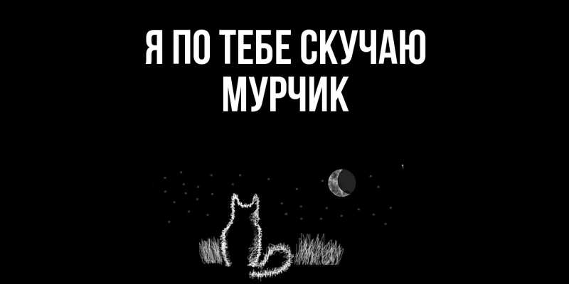 Картинка Я по тебе скучаю, Мурчик