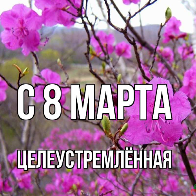 Картинка C 8 МАРТА, Целеустремлённая
