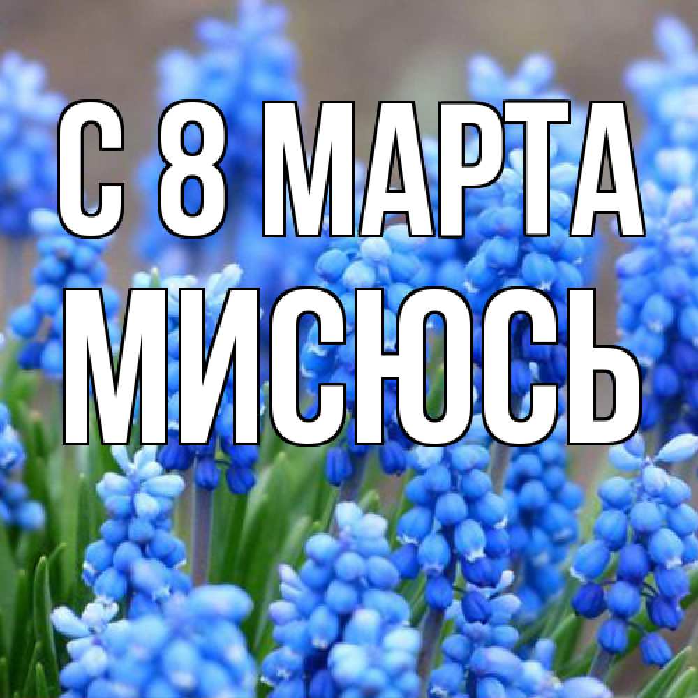 Открытка на каждый день с именем, мисюсь C 8 МАРТА Поздравительная открытка для женщин с цветами на праздничную дату Прикольная открытка с пожеланием онлайн скачать бесплатно 