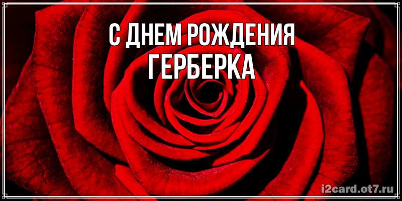 Картинка С днем рождения, Герберка