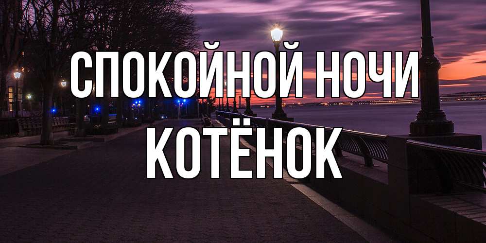 Открытка на каждый день с именем, Котёнок Спокойной ночи фонари на фоне реки Прикольная открытка с пожеланием онлайн скачать бесплатно 