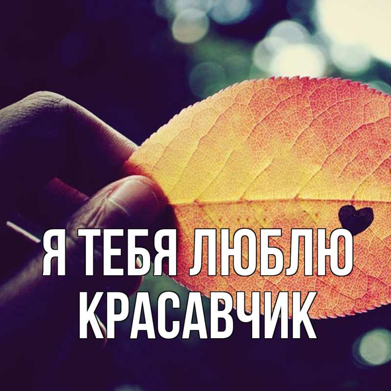 Картинка Я тебя люблю, Красавчик