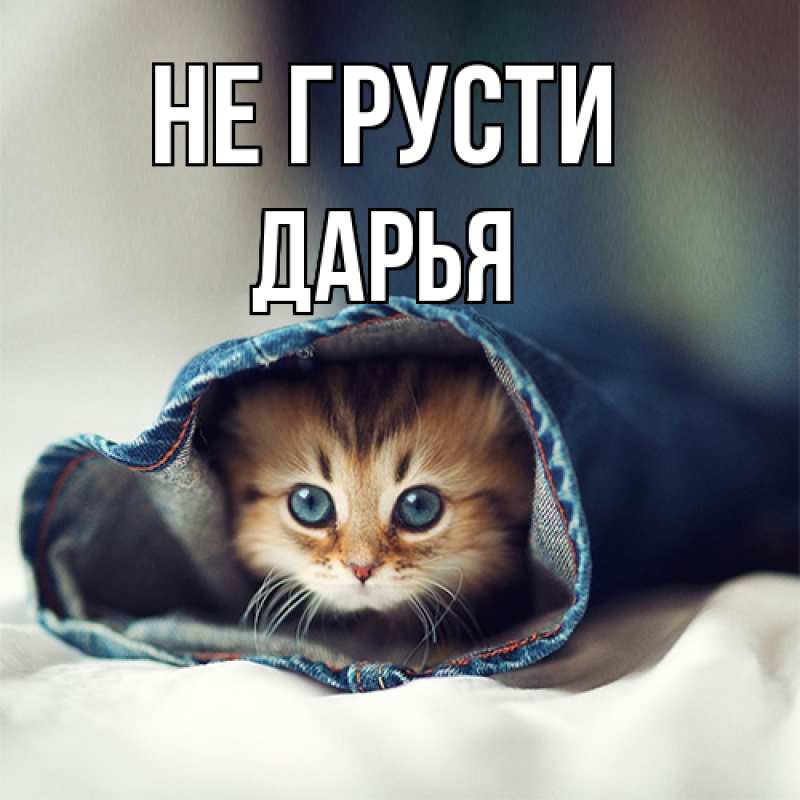 Картинка Не грусти, Дарья