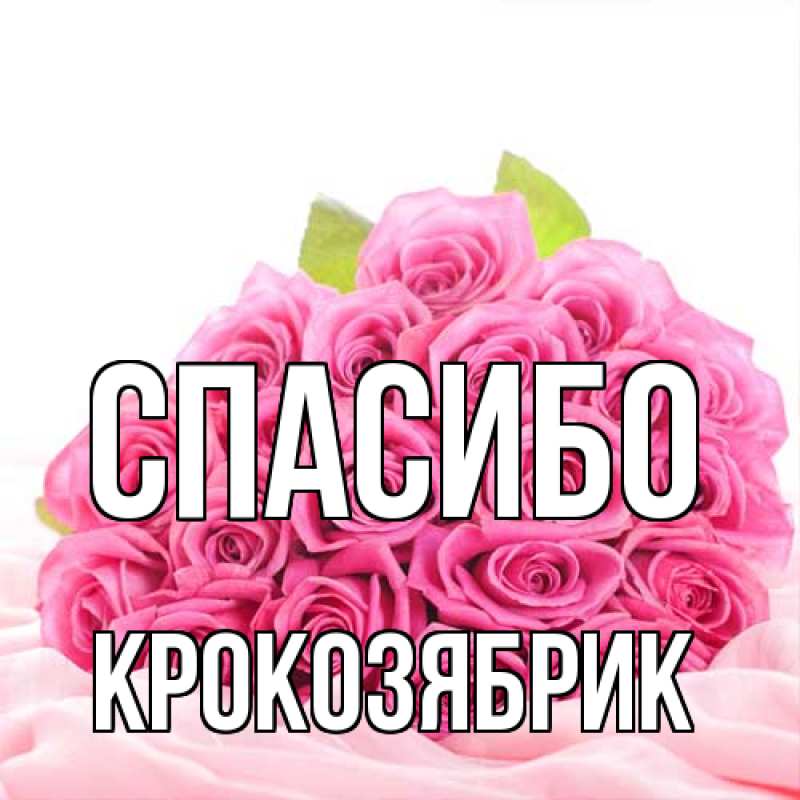 Картинка Спасибо, крокозябрик