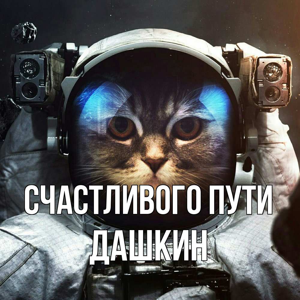 Открытка на каждый день с именем, Дашкин Счастливого пути желает удачно добраться Прикольная открытка с пожеланием онлайн скачать бесплатно 