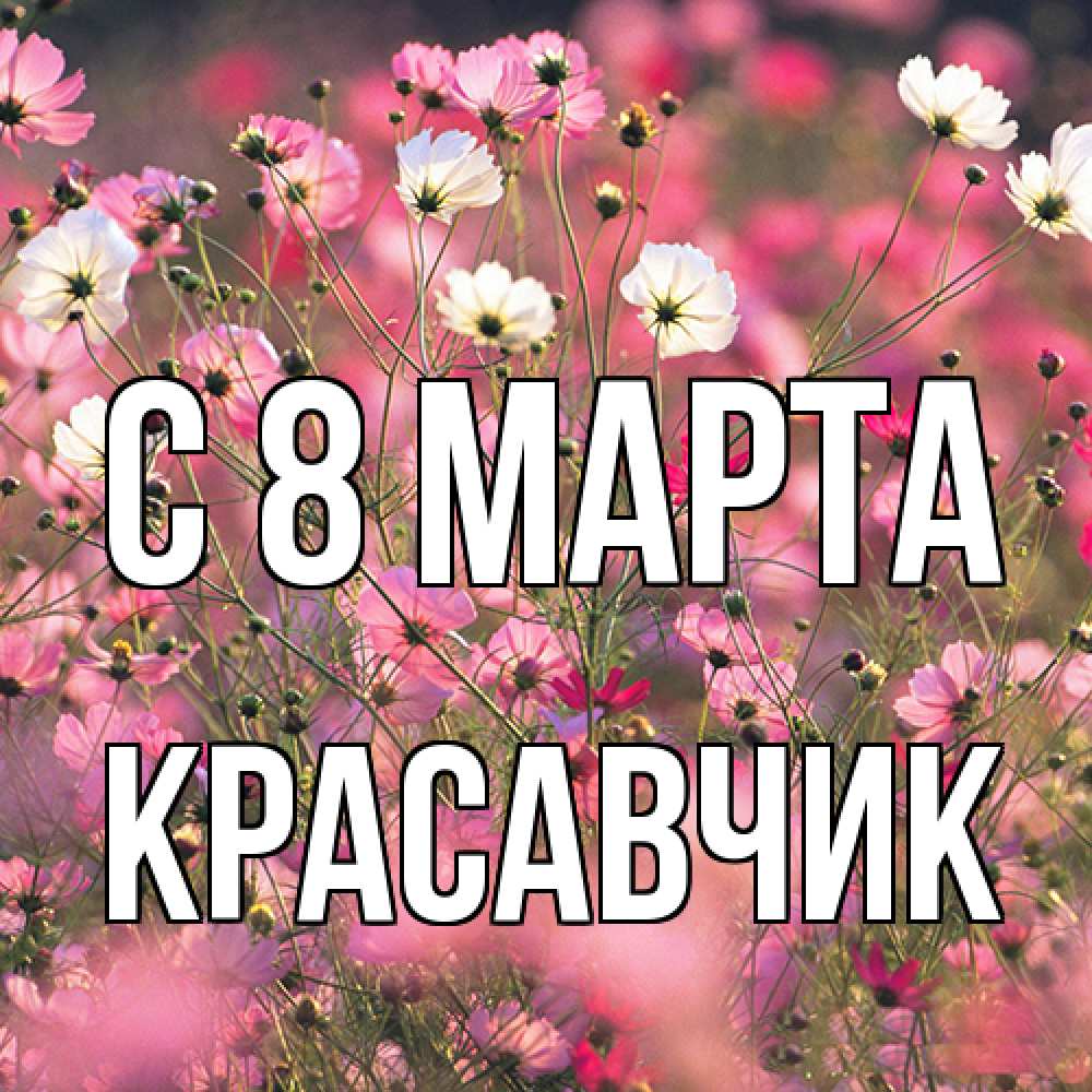 Открытка на каждый день с именем, Красавчик C 8 МАРТА красиво 1 Прикольная открытка с пожеланием онлайн скачать бесплатно 