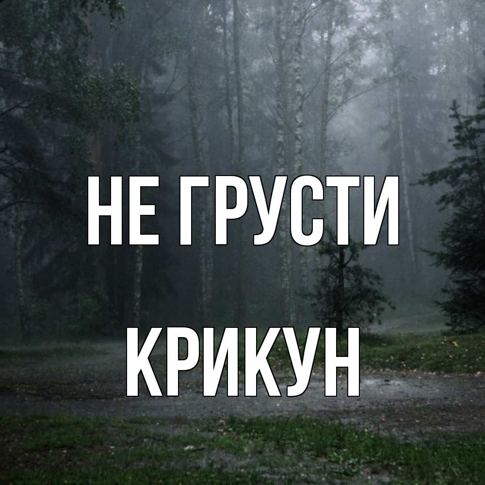 Открытка на каждый день с именем, Крикун Не грусти осень Прикольная открытка с пожеланием онлайн скачать бесплатно 