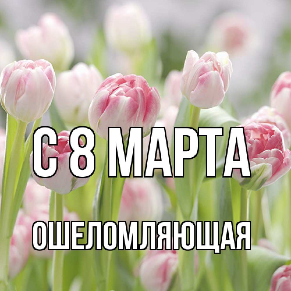 Открытка на каждый день с именем, Ошеломляющая C 8 МАРТА цветы Прикольная открытка с пожеланием онлайн скачать бесплатно 