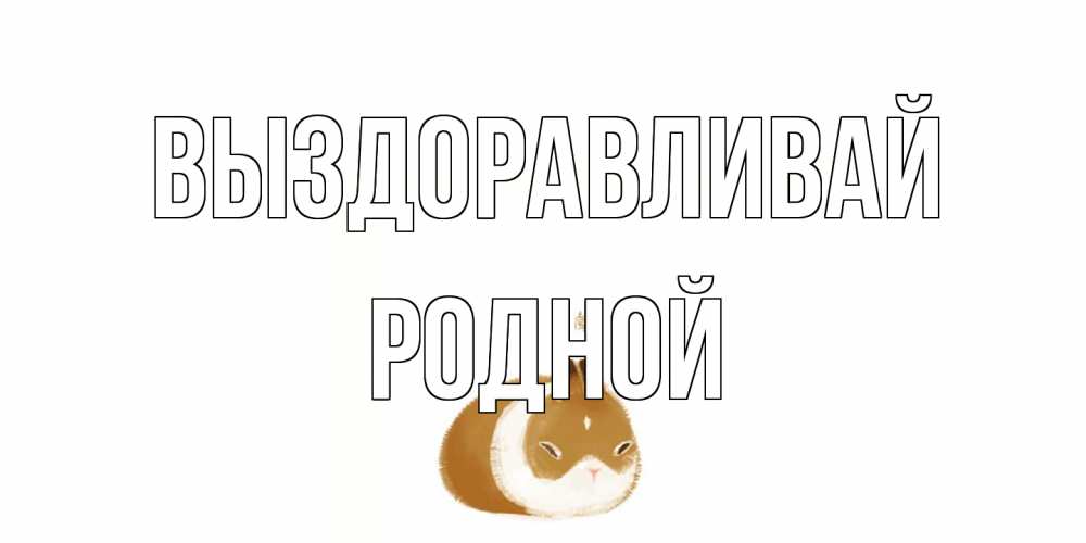 Открытка на каждый день с именем, Родной Выздоравливай морская свинка на открытке с пожеланиями не болеть Прикольная открытка с пожеланием онлайн скачать бесплатно 