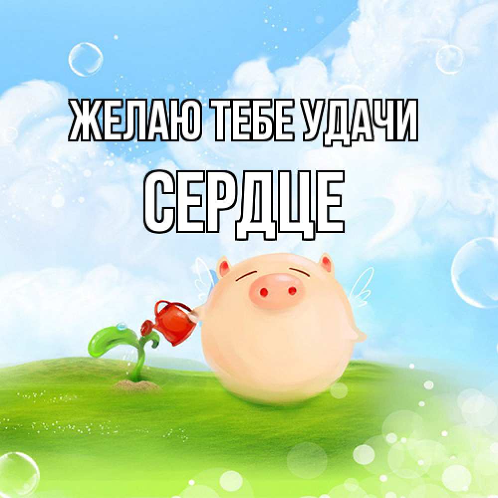 Открытка на каждый день с именем, сердце Желаю тебе удачи поросенок поливает цветок. летнее настроение Прикольная открытка с пожеланием онлайн скачать бесплатно 