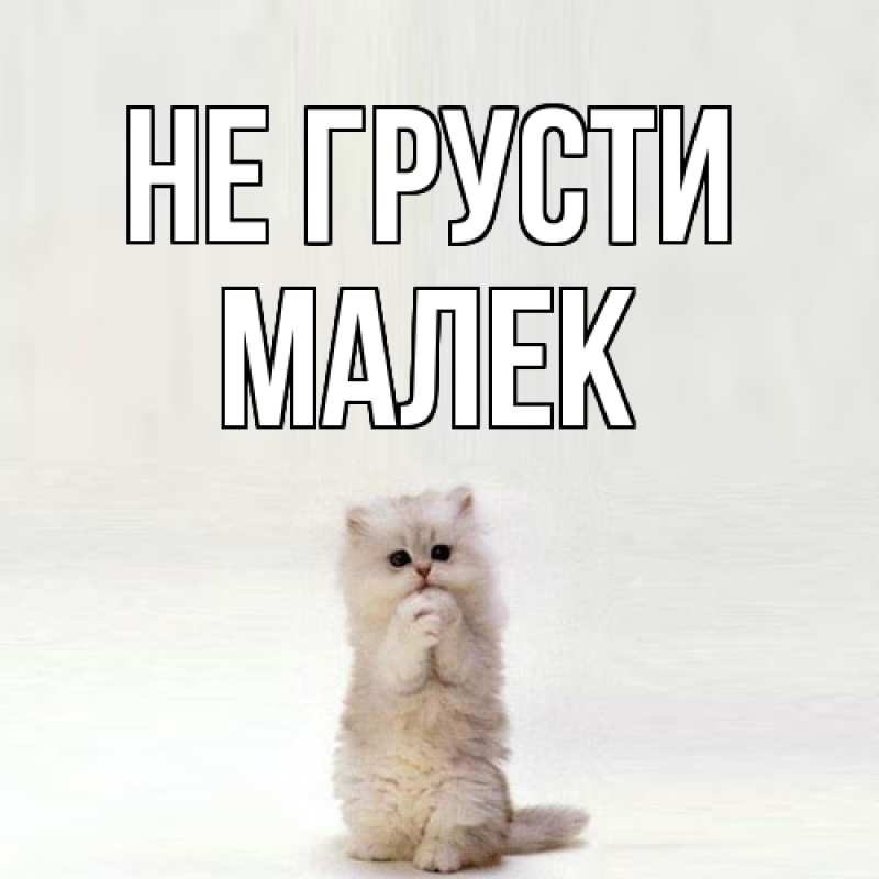 Картинка Не грусти, Малек