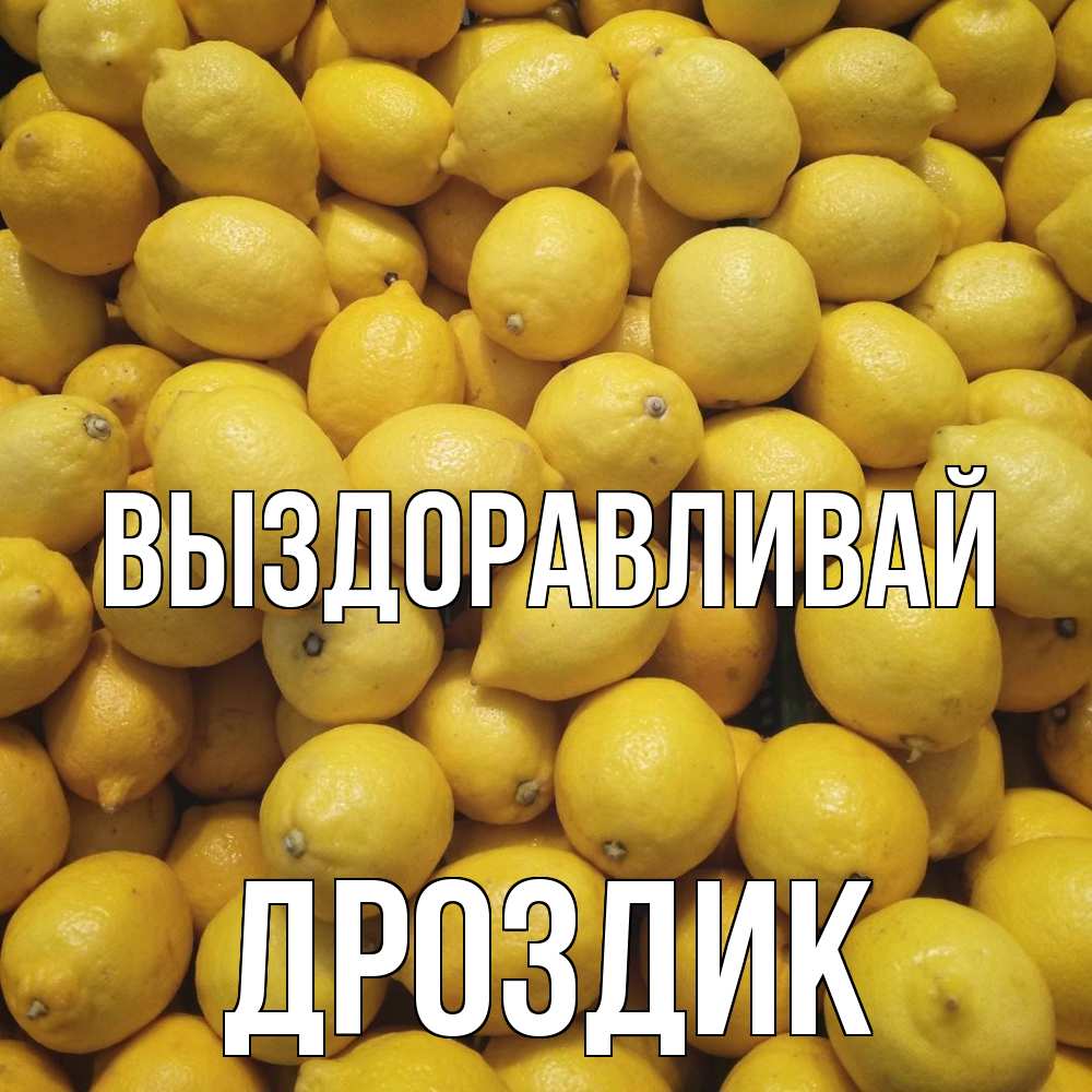 Открытка на каждый день с именем, Дроздик Выздоравливай это точно поможет Прикольная открытка с пожеланием онлайн скачать бесплатно 