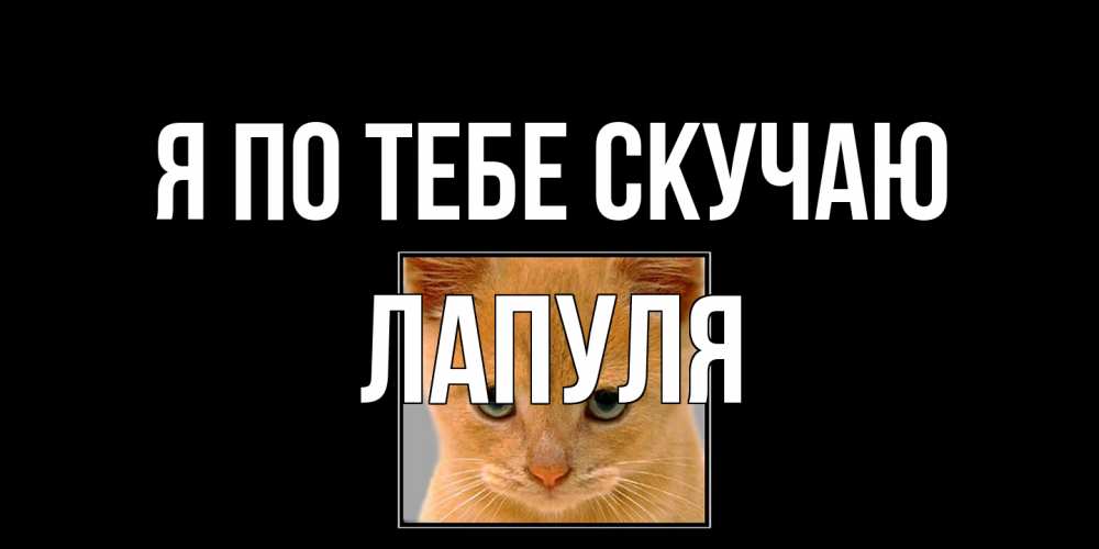Открытка на каждый день с именем, Лапуля Я по тебе скучаю открытки рыжий котенок скучает по тебе Прикольная открытка с пожеланием онлайн скачать бесплатно 
