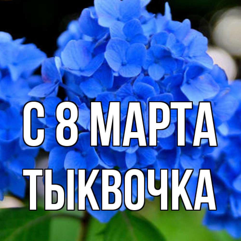 Открытка на каждый день с именем, тыквочка C 8 МАРТА синие цветы Прикольная открытка с пожеланием онлайн скачать бесплатно 