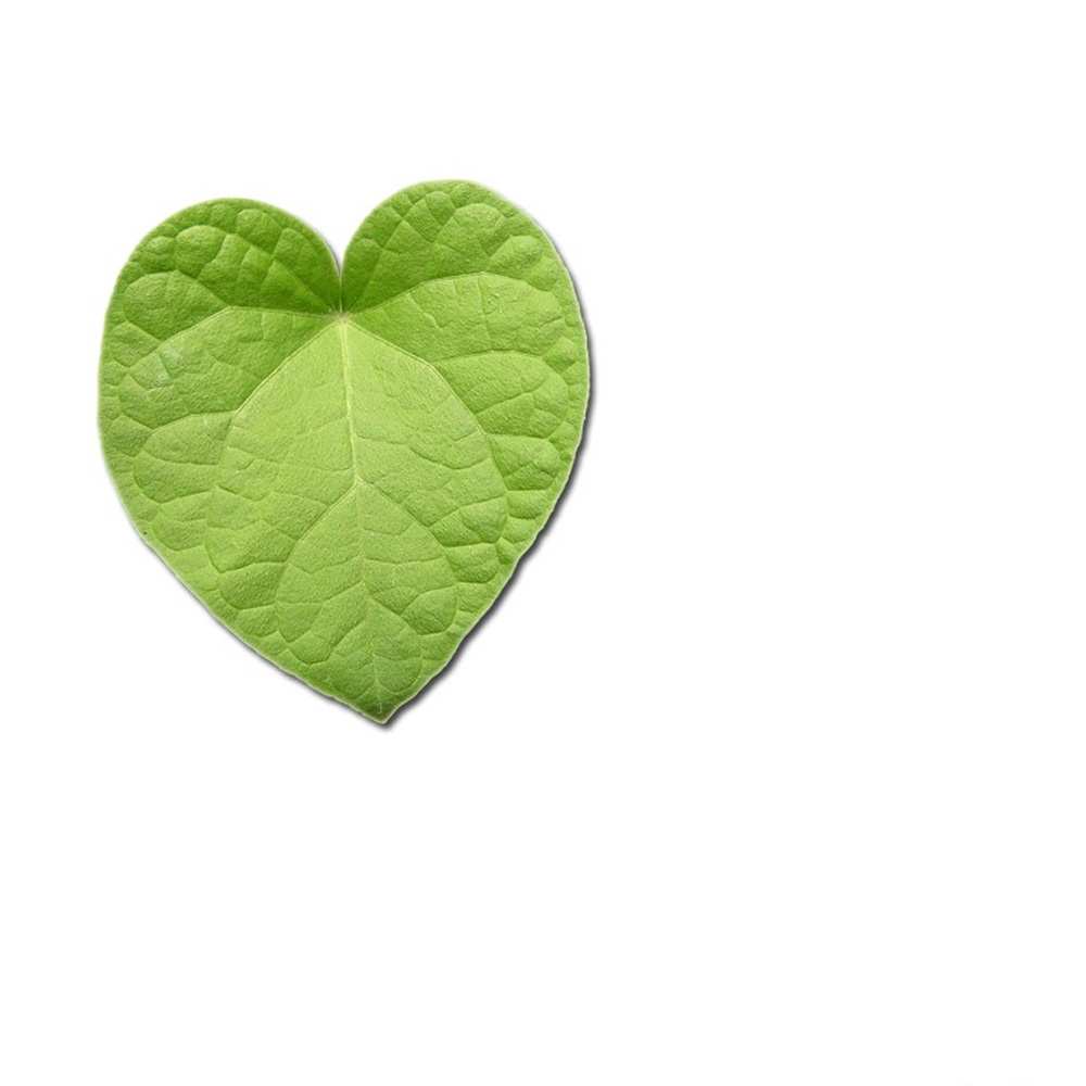 Открытка на каждый день с именем, Гульмира Я тебя люблю тебе Прикольная открытка с пожеланием онлайн скачать бесплатно 