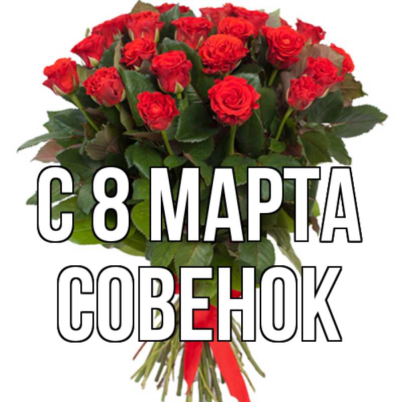 Картинка C 8 МАРТА, совенок