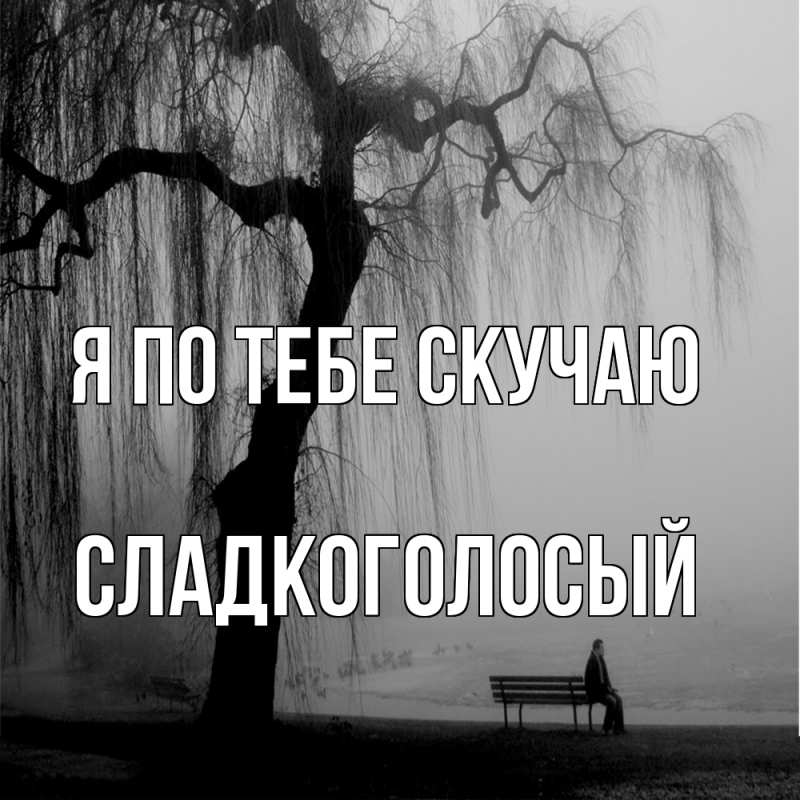 Картинка Я по тебе скучаю, Сладкоголосый