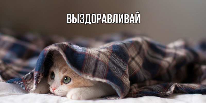 Картинка Выздоравливай, открытка бесплатно