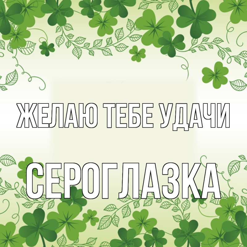 Картинка Желаю тебе удачи, сероглазка