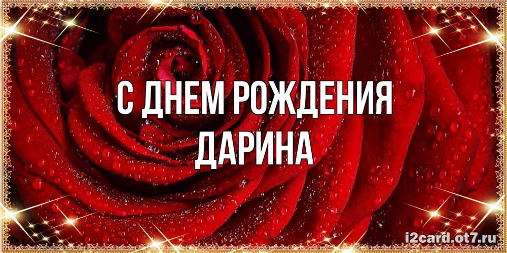 Открытка на каждый день с именем, Дарина С днем рождения роса на розе блестящая в лучах солнца Прикольная открытка с пожеланием онлайн скачать бесплатно 