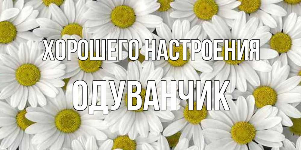 Открытка на каждый день с именем, Одуванчик Хорошего настроения поляна ромашек Прикольная открытка с пожеланием онлайн скачать бесплатно 