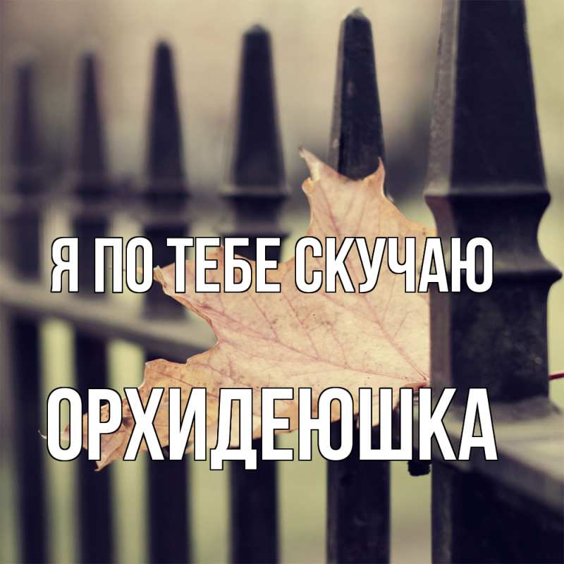 Картинка Я по тебе скучаю, Орхидеюшка